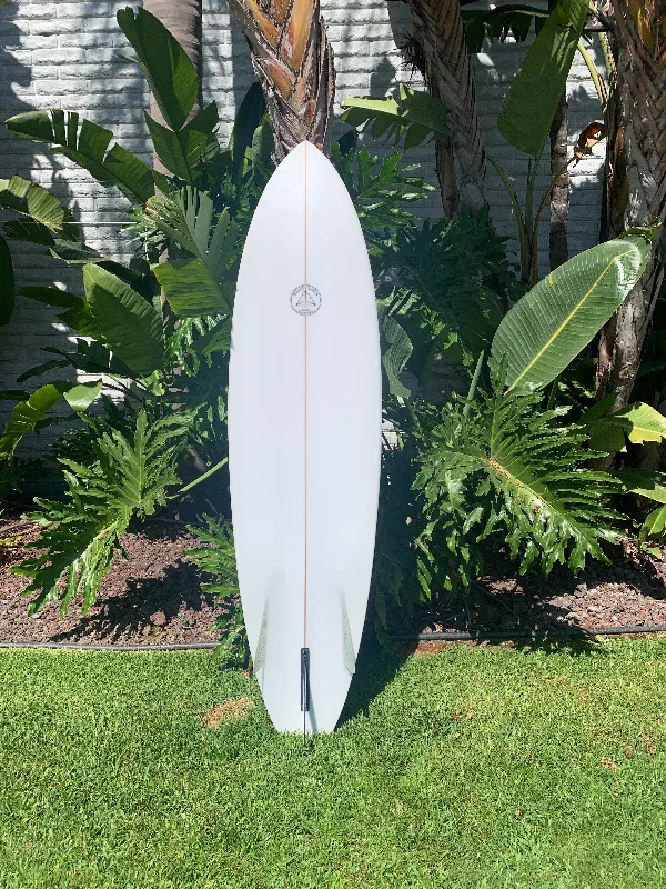 longboard surfboards for higher glide-6'10" Campbell Brothers Russ Short